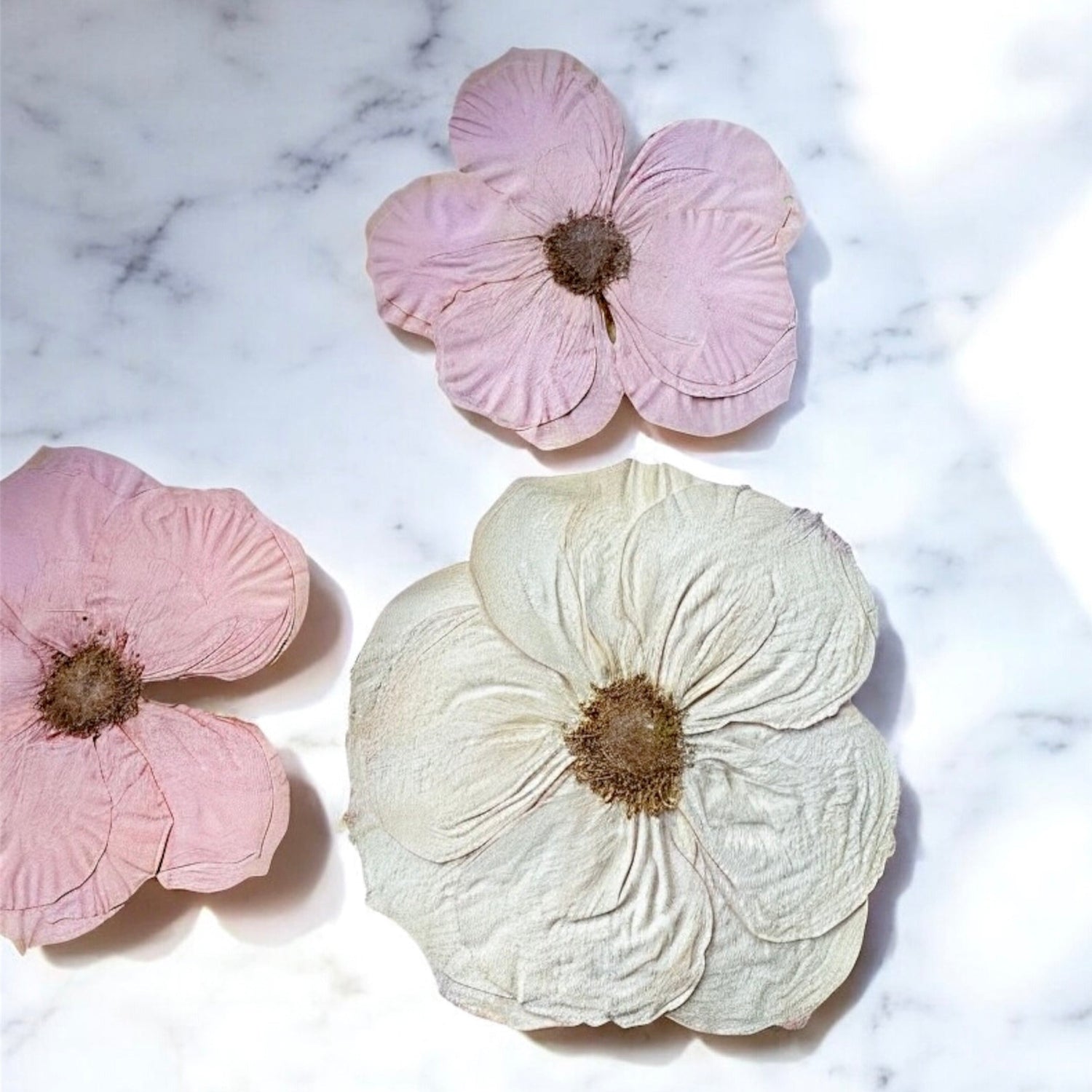 color corrected pressed flowers