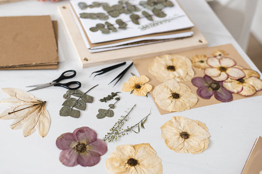 pressed flower art budapest