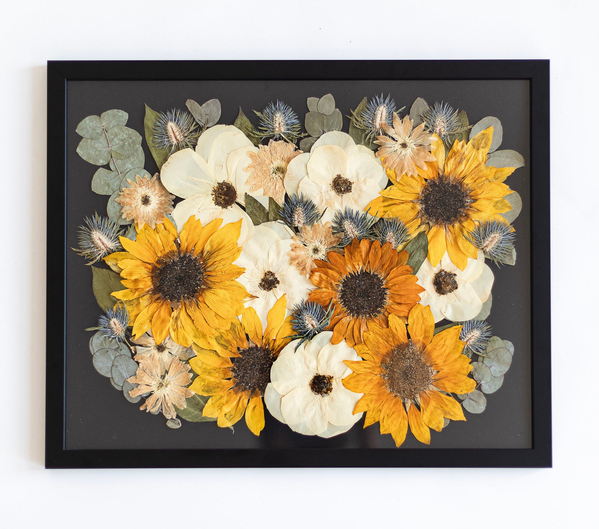sunflower and pressed rose in a black premium frame